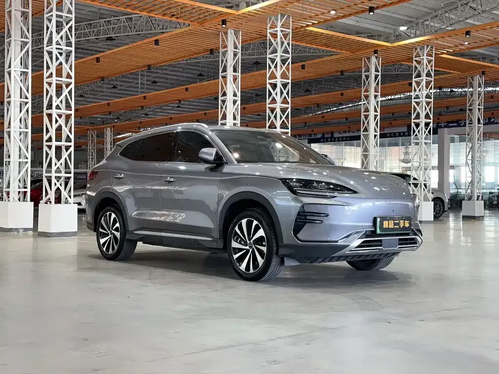 BYD PLUS New Energy 2024 из CN, фото 6