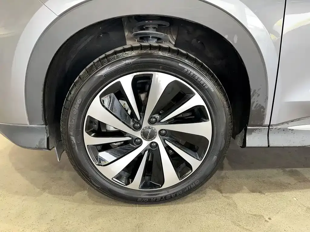 BYD PLUS New Energy 2024 из CN, фото 4