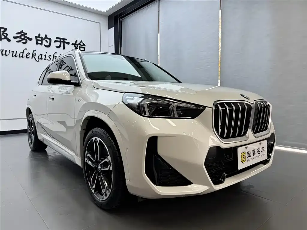 BMW X1 — фото 8