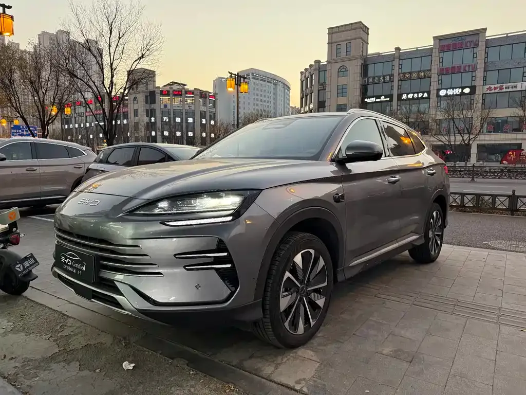 BYD PLUS New Energy — фото 1