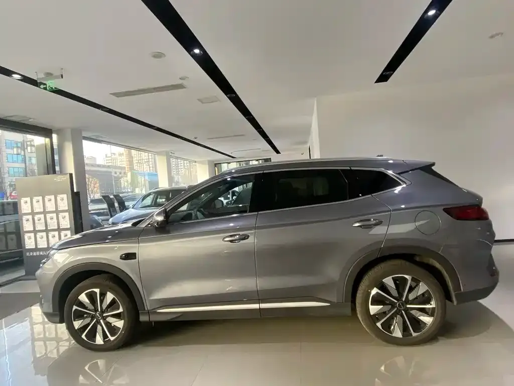 BYD PLUS New Energy — фото 3