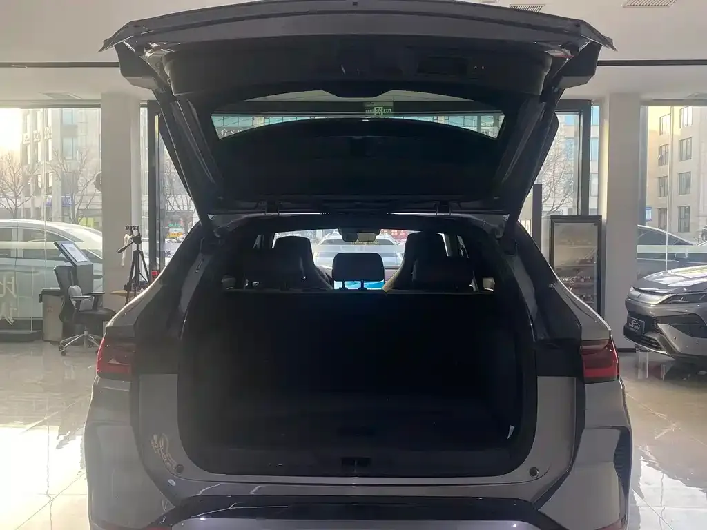BYD PLUS New Energy — фото 4