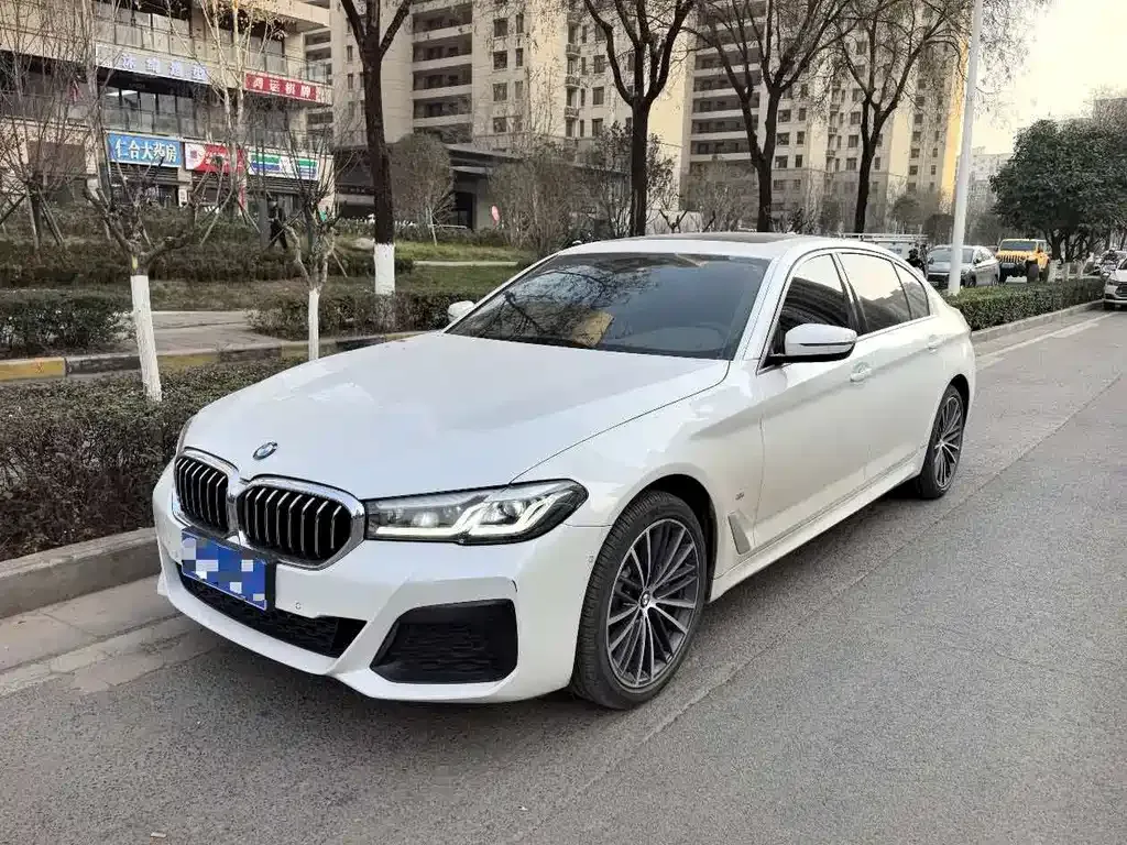 BMW 5 Series 2024 из CN, фото 1
