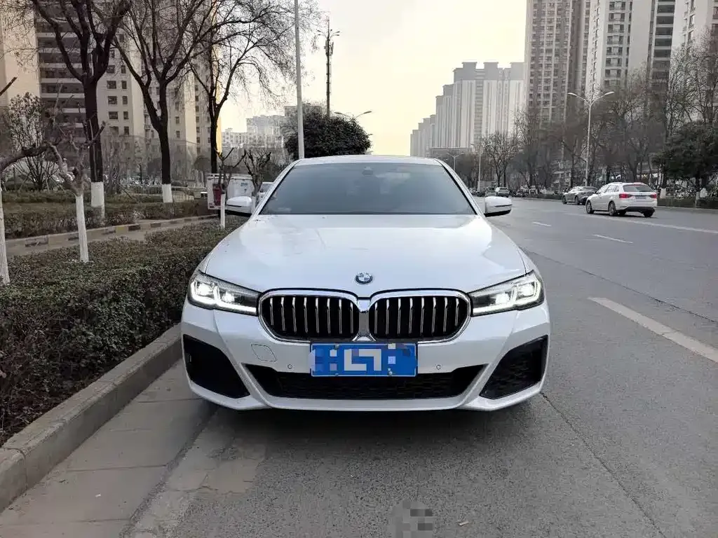 BMW 5 Series 2024 из CN, фото 6
