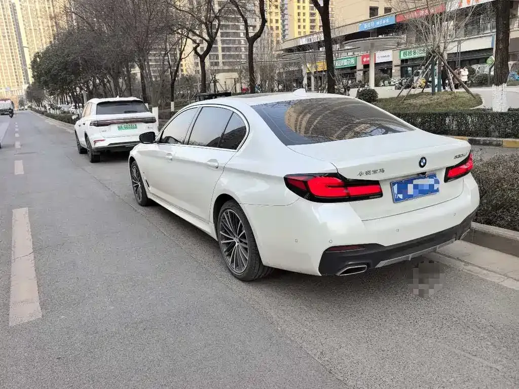 BMW 5 Series 2024 из CN, фото 8