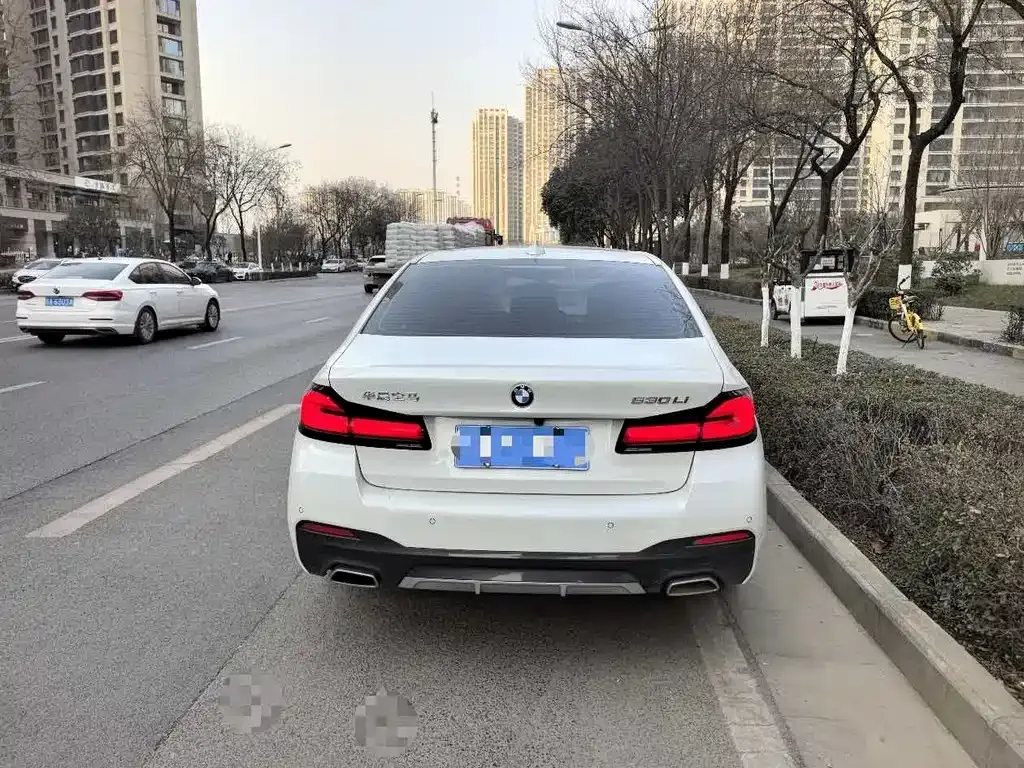BMW 5 Series 2024 из CN, фото 5