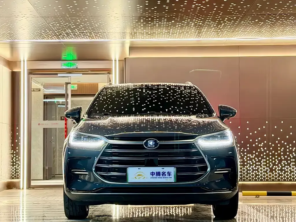 BYD Tang New Energy 2022 из CN, фото 6