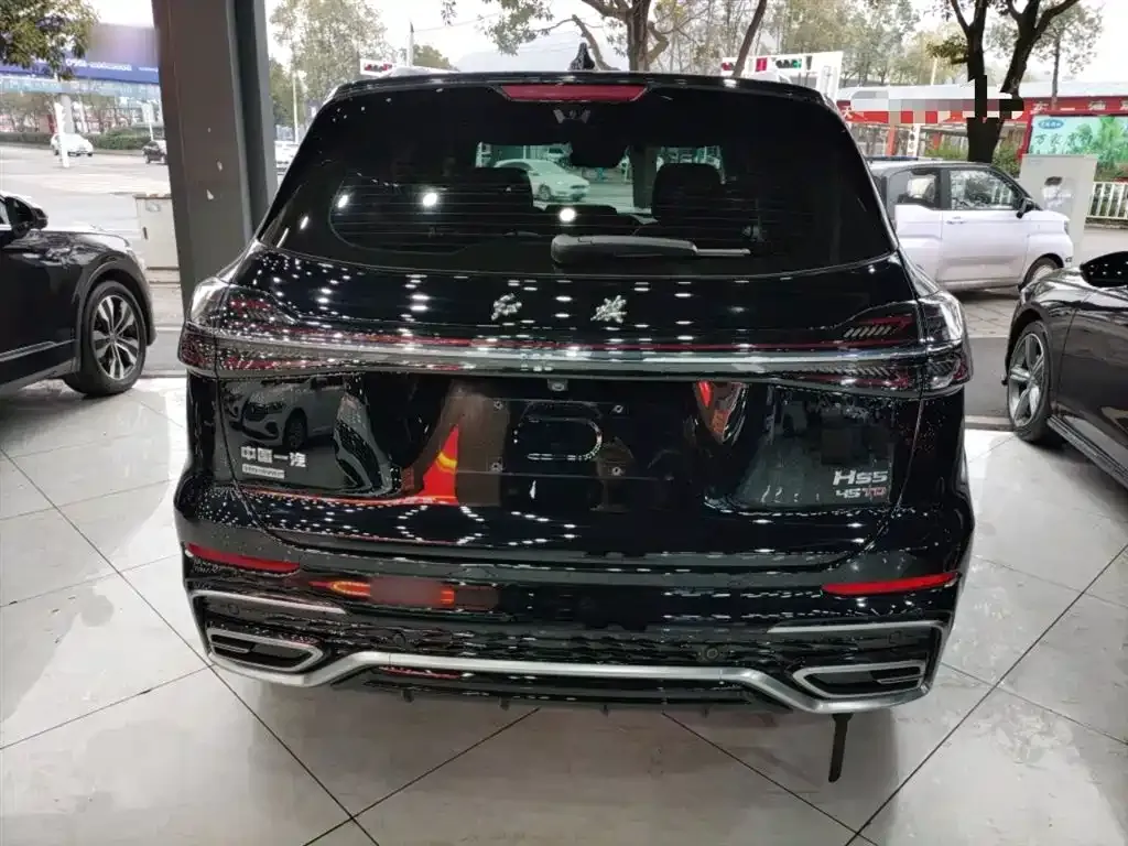 Hongqi HS5 2024 из CN, фото 10