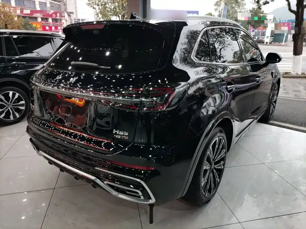 Hongqi HS5 2024 из CN, фото 9