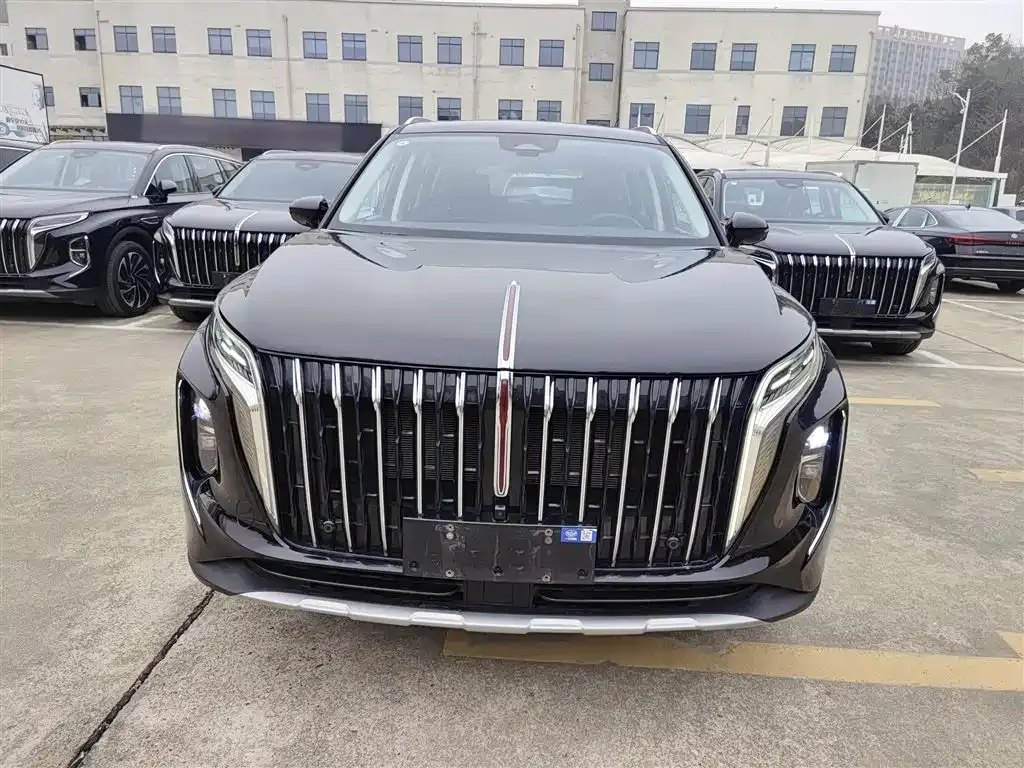 Hongqi HS7 PHEV 2024 из CN, фото 8
