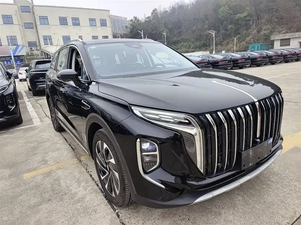 Hongqi HS7 PHEV 2024 из CN, фото 10