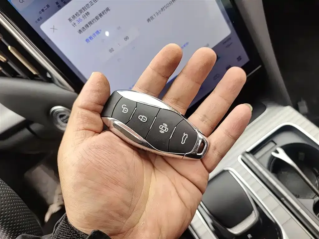 Hongqi HS7 PHEV 2024 из CN, фото 5