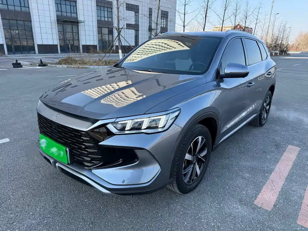 BYD Pro New Energy 2024 из CN, фото 1