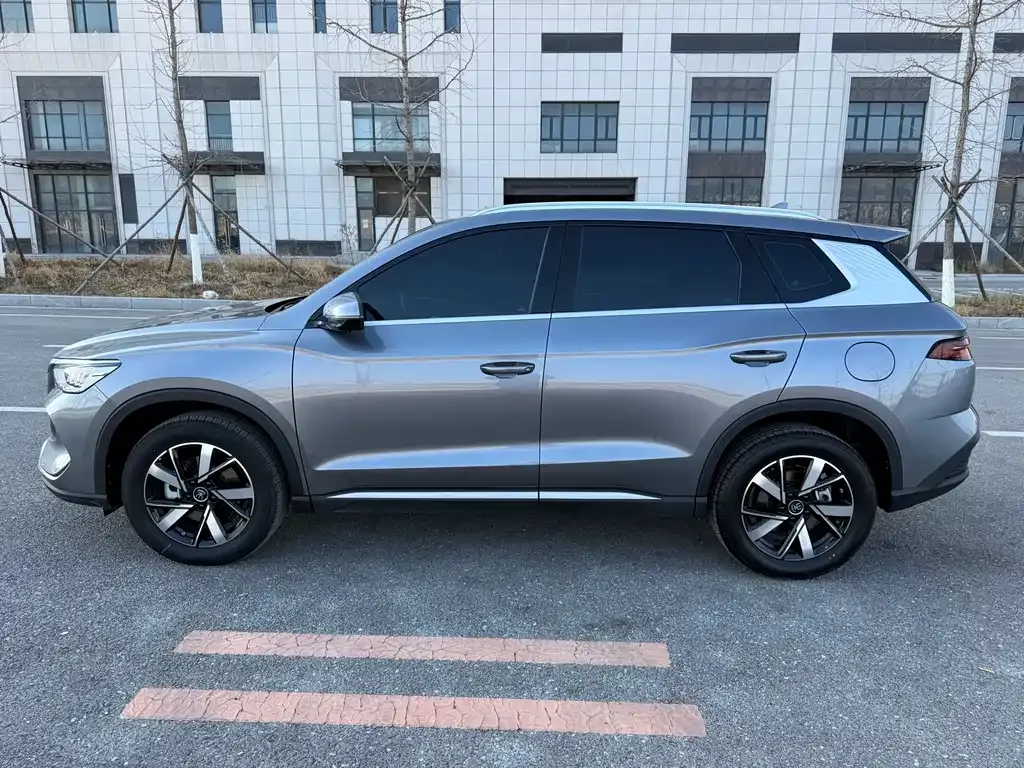BYD Pro New Energy 2024 из CN, фото 3