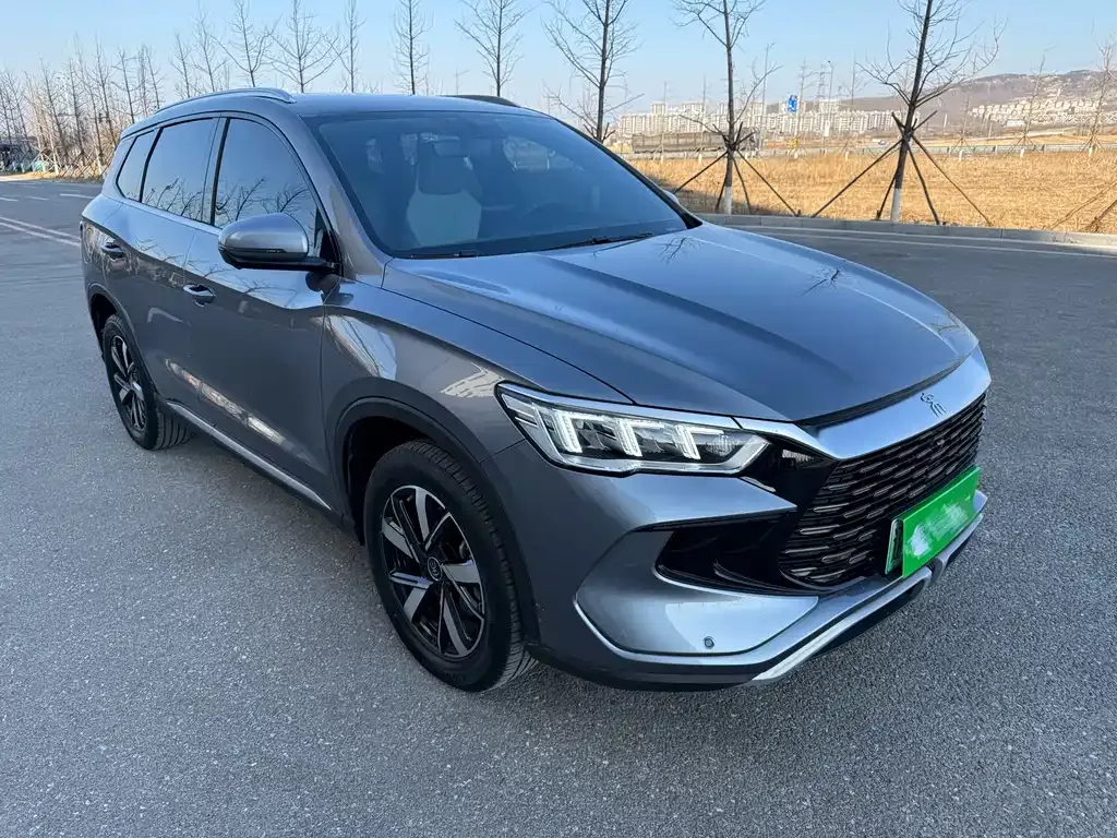 BYD Pro New Energy 2024 из CN, фото 7