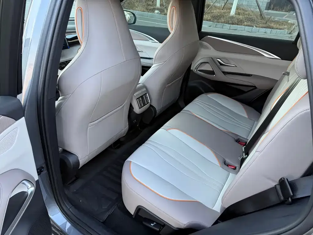BYD Pro New Energy 2024 из CN, фото 4