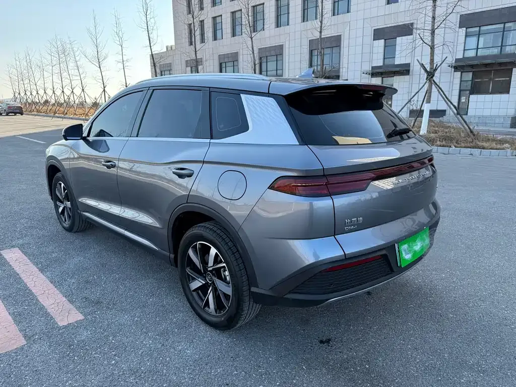 BYD Pro New Energy 2024 из CN, фото 8