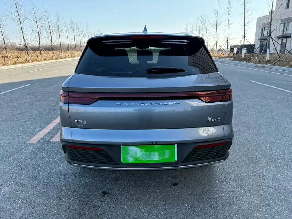 BYD Pro New Energy 2024 из CN, фото 9