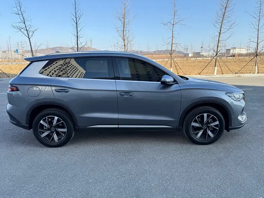 BYD Pro New Energy 2024 из CN, фото 10