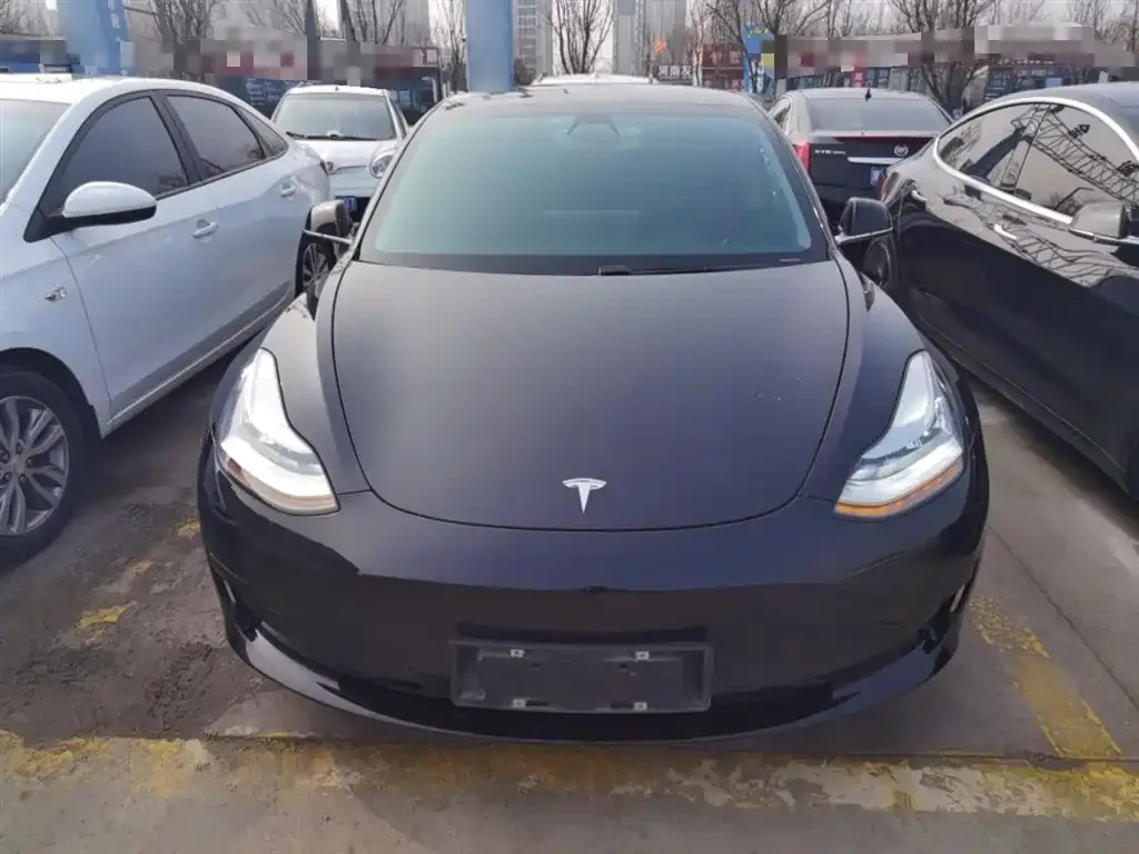 Tesla Model 3 2021 из CN, фото 2