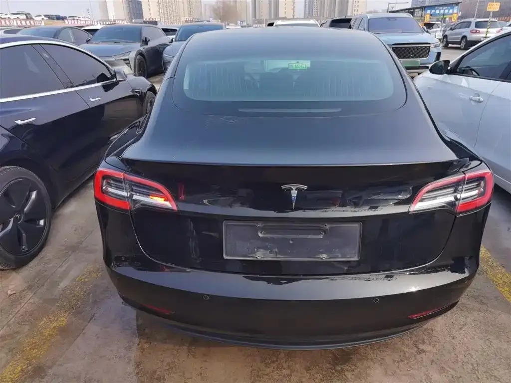 Tesla Model 3 2021 из CN, фото 5