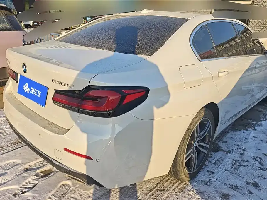 BMW 5 Series 2023 из CN, фото 5