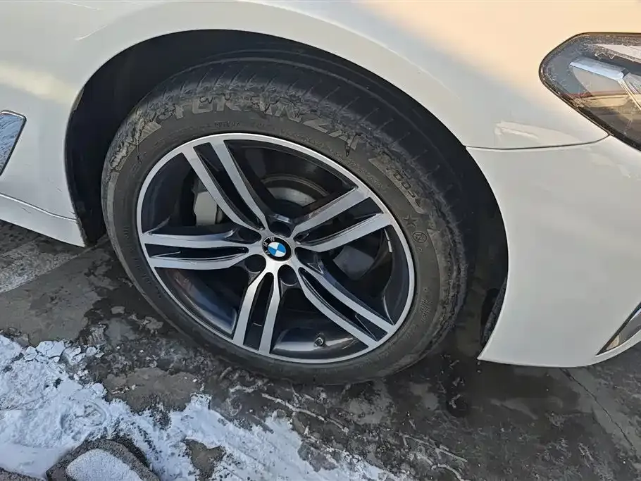 BMW 5 Series 2023 из CN, фото 6