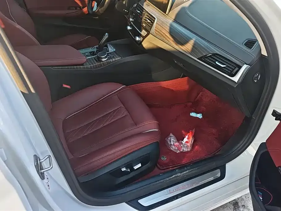 BMW 5 Series 2023 из CN, фото 2