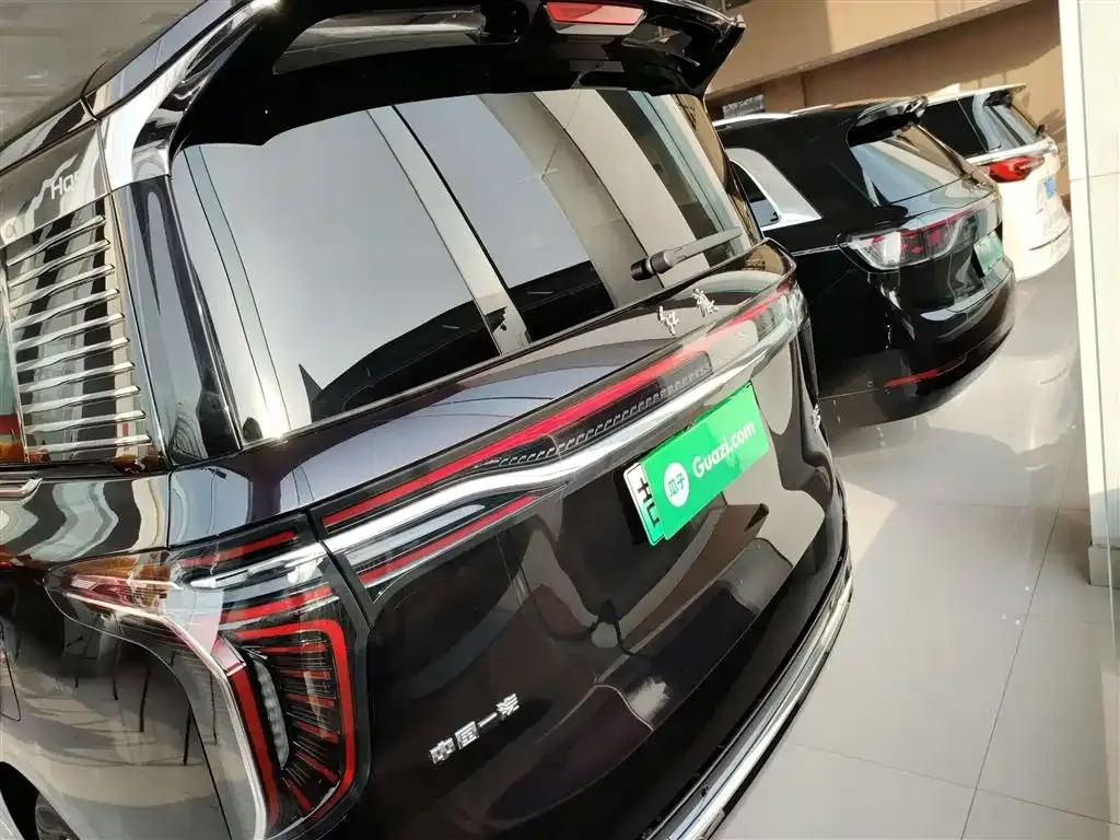 Hongqi HQ9 PHEV 2024 из CN, фото 10