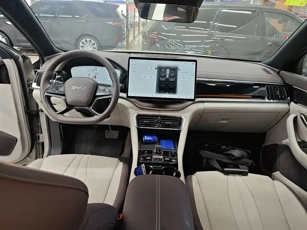 BYD PLUS New Energy 2025 из CN, фото 3