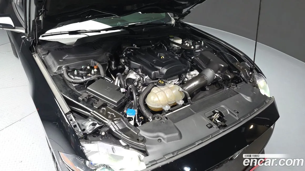Ford Mustang 2022 из KR, фото 10