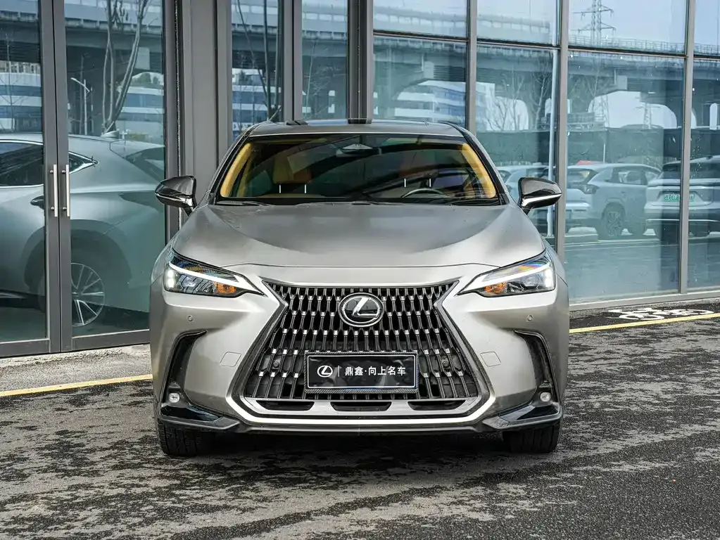 Lexus NX 2023 из CN, фото 10