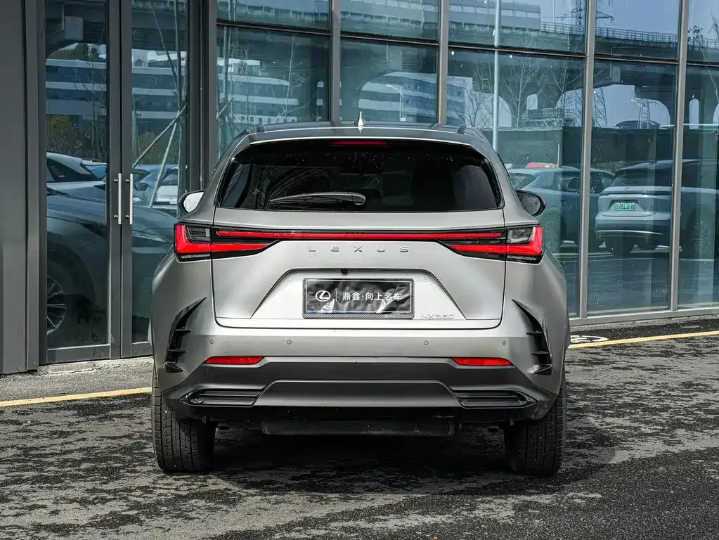 Lexus NX 2023 из CN, фото 5