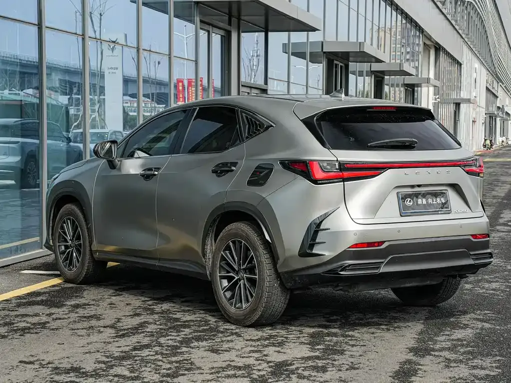 Lexus NX 2023 из CN, фото 7