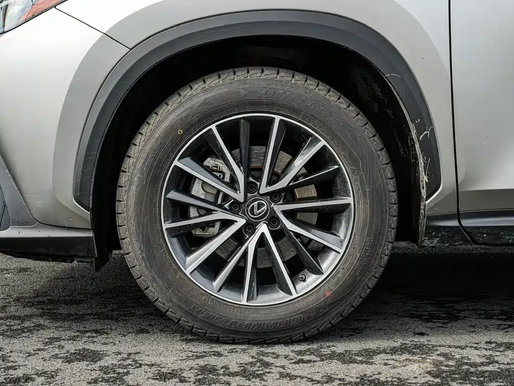 Lexus NX 2023 из CN, фото 6