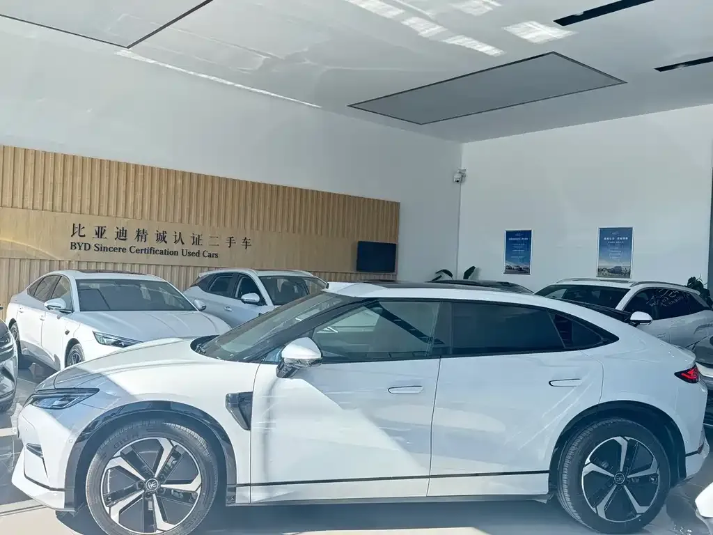 BYD L EV 2025 из CN, фото 8