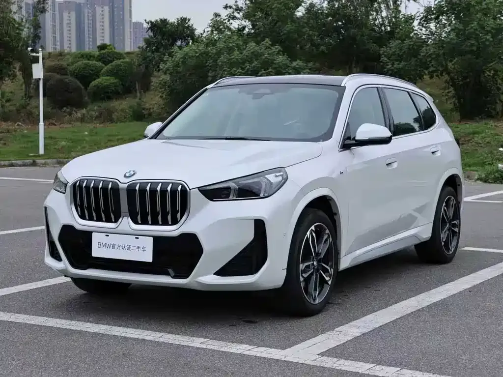 BMW X1 — фото 1