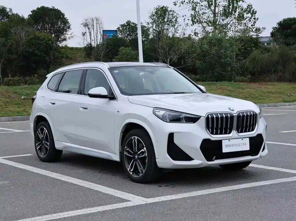 BMW X1 — фото 10