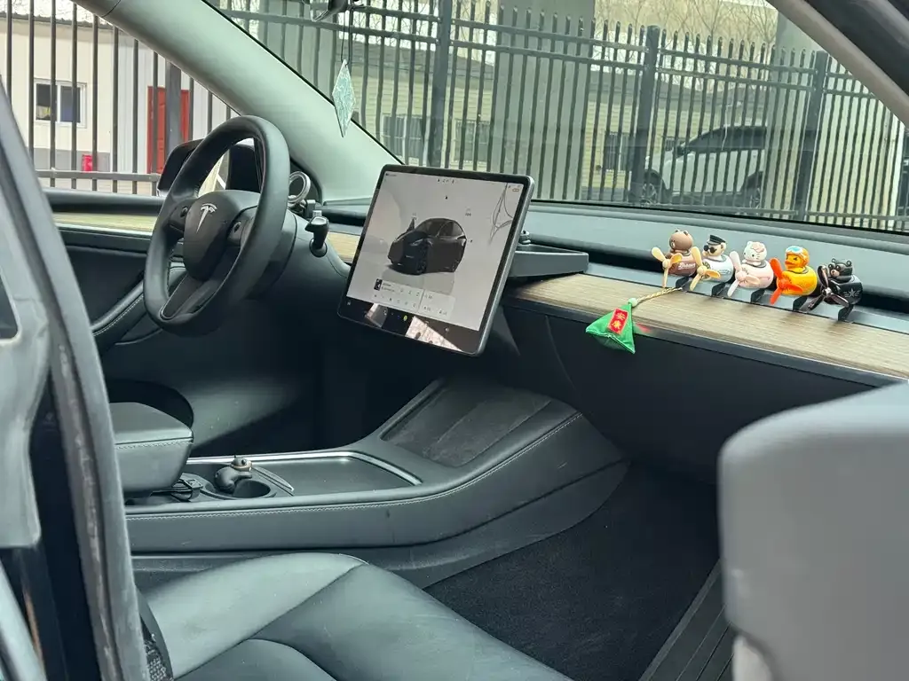 Tesla Model Y — фото 8