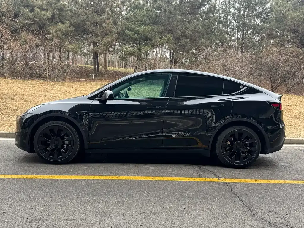 Tesla Model Y — фото 9