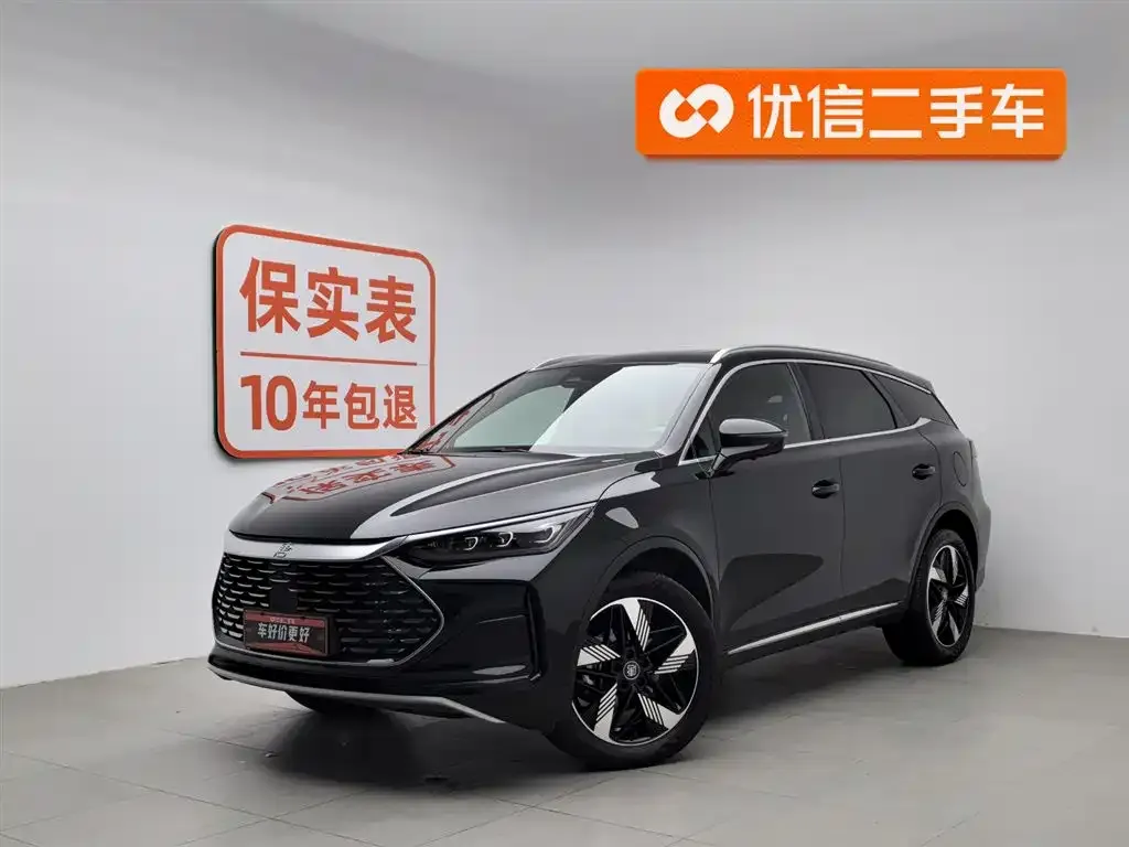 BYD Tang New Energy 2024 из CN, фото 1