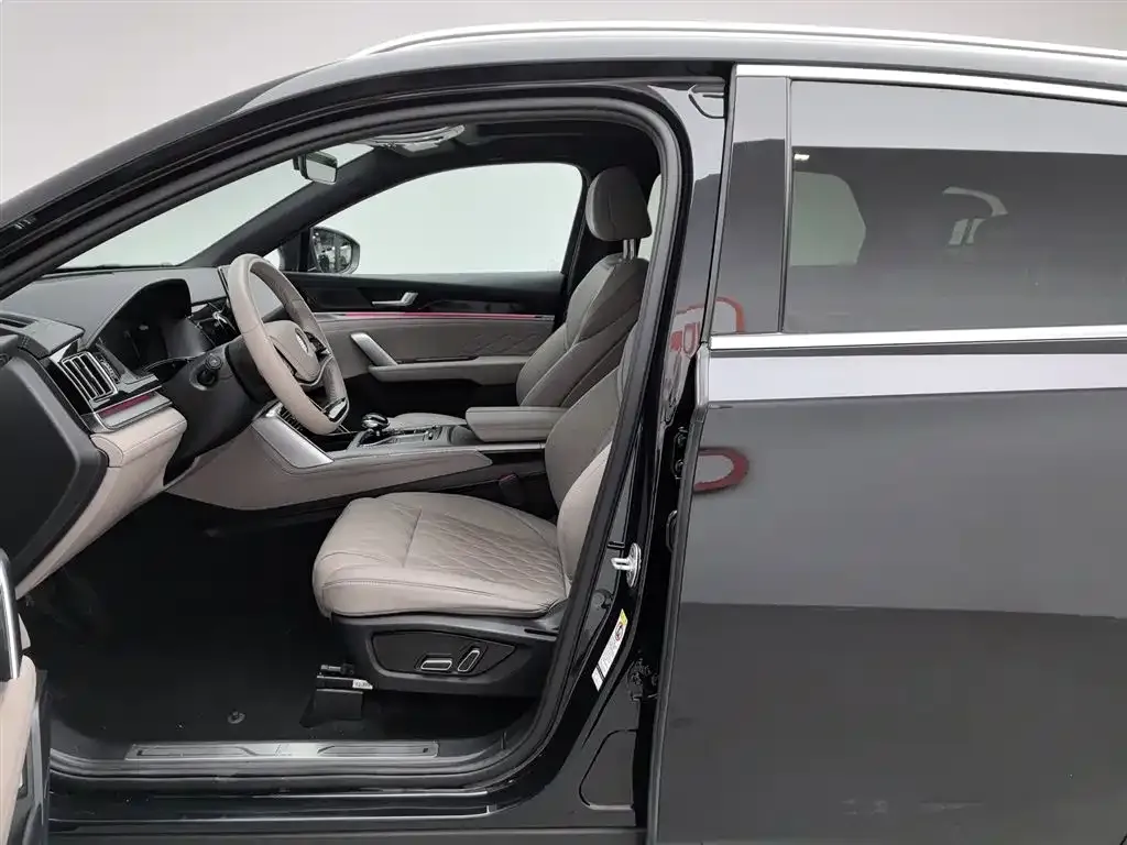 BYD Tang New Energy 2024 из CN, фото 10