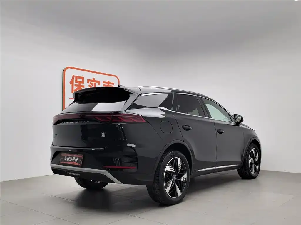 BYD Tang New Energy 2024 из CN, фото 3