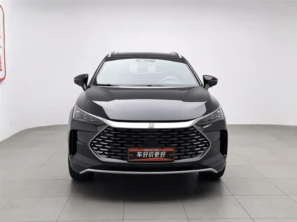BYD Tang New Energy 2024 из CN, фото 5