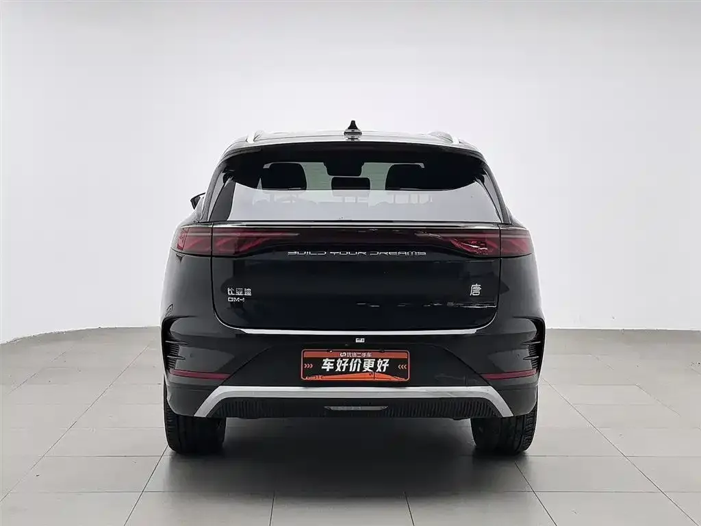 BYD Tang New Energy 2024 из CN, фото 7