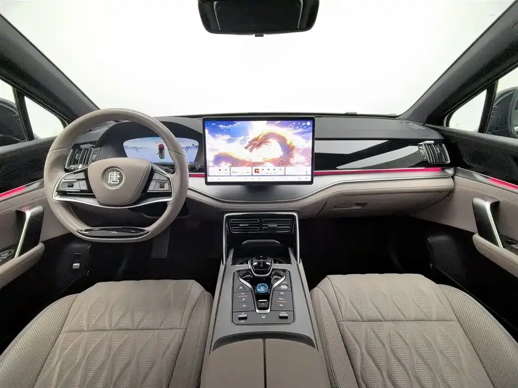 BYD Tang New Energy 2024 из CN, фото 9