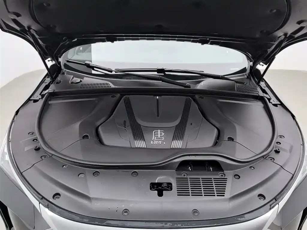 BYD Tang New Energy 2024 из CN, фото 4