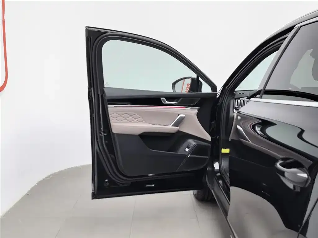 BYD Tang New Energy 2024 из CN, фото 2