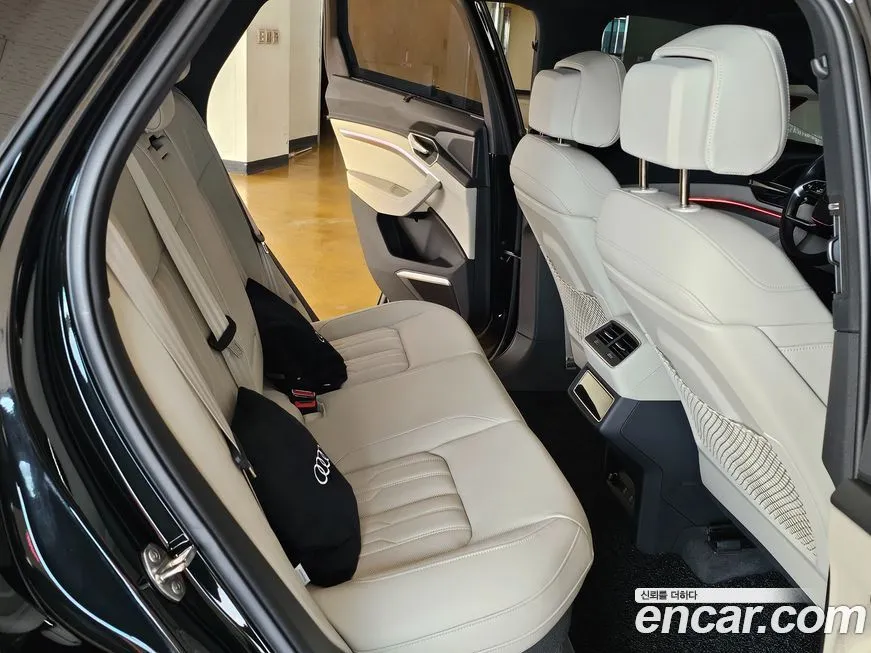 Audi e-tron 2023 из KR, фото 8