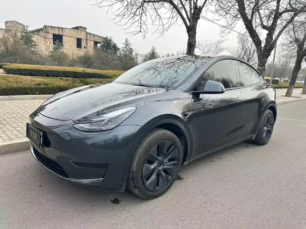 Tesla Model Y — фото 1